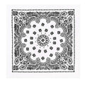 Rothco Trainmen Paisley Bandana - Standard - 22" X 22" - color: White